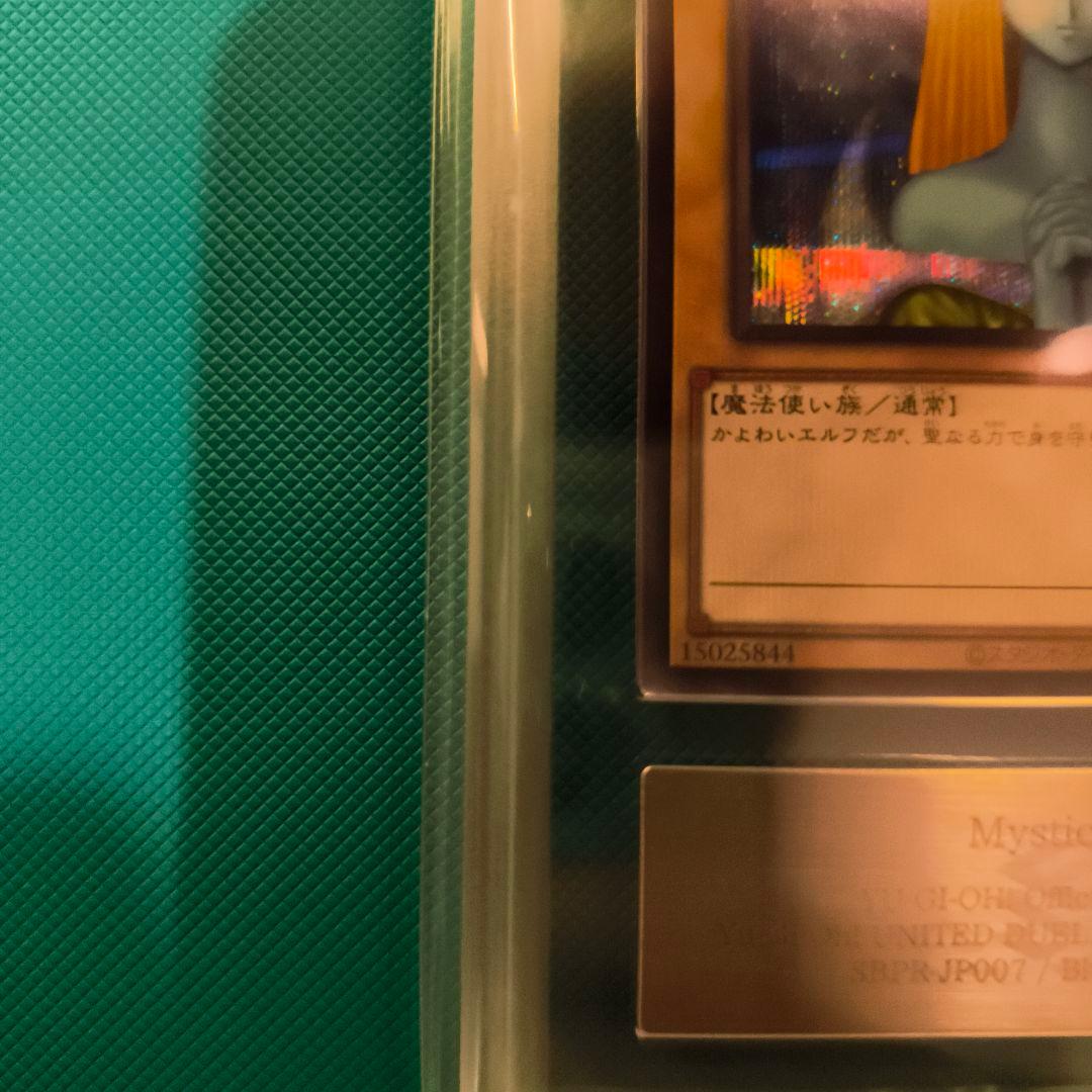 A*M様 ホーリー・エルフ 　ブルシク　ars10