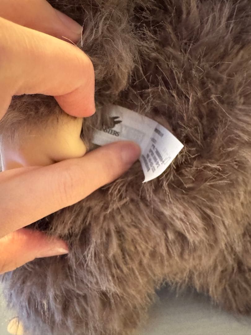 THE MONSTERS ZIMOMO I FOUND YOU 茶ジモモ　最安値