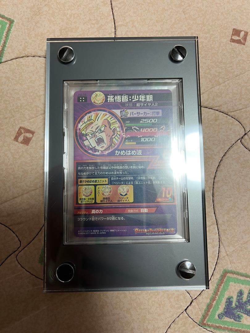 H2-16 孫悟飯:少年期 本家 微細な白かけあり