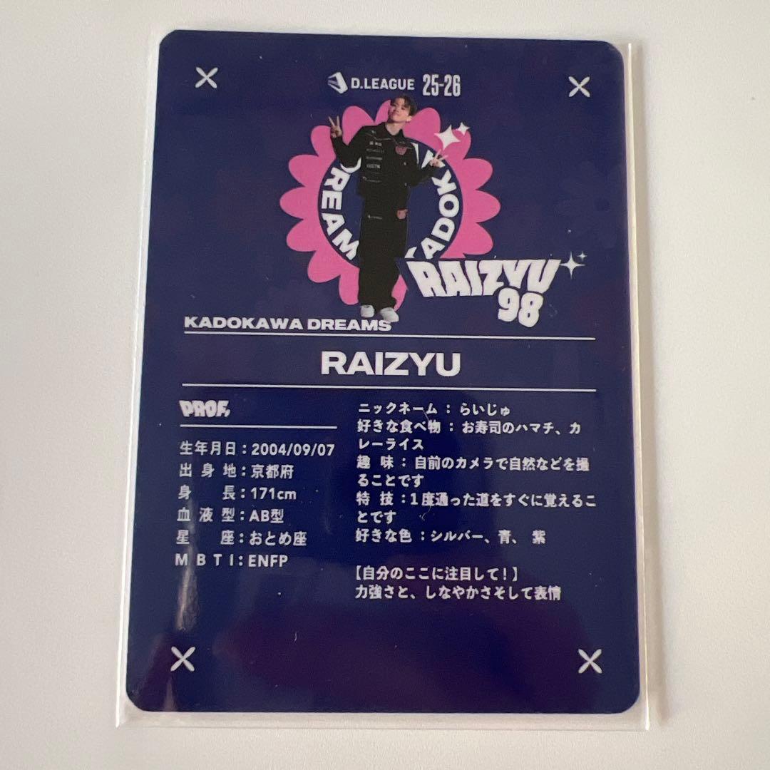 Dリーグ RAIZYU キラトレカ