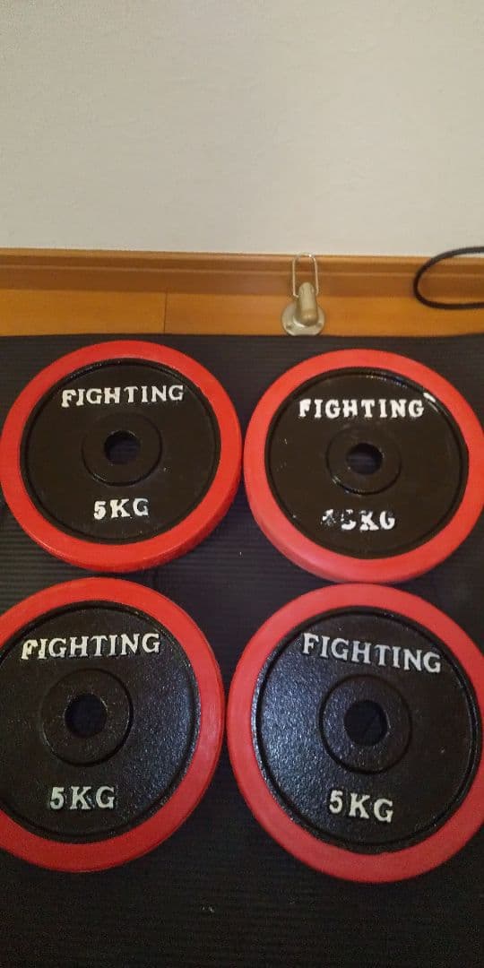 FIGHTING(ファイティングロード) ラバーダンベルプレート 5kg×4 - メルカリ
