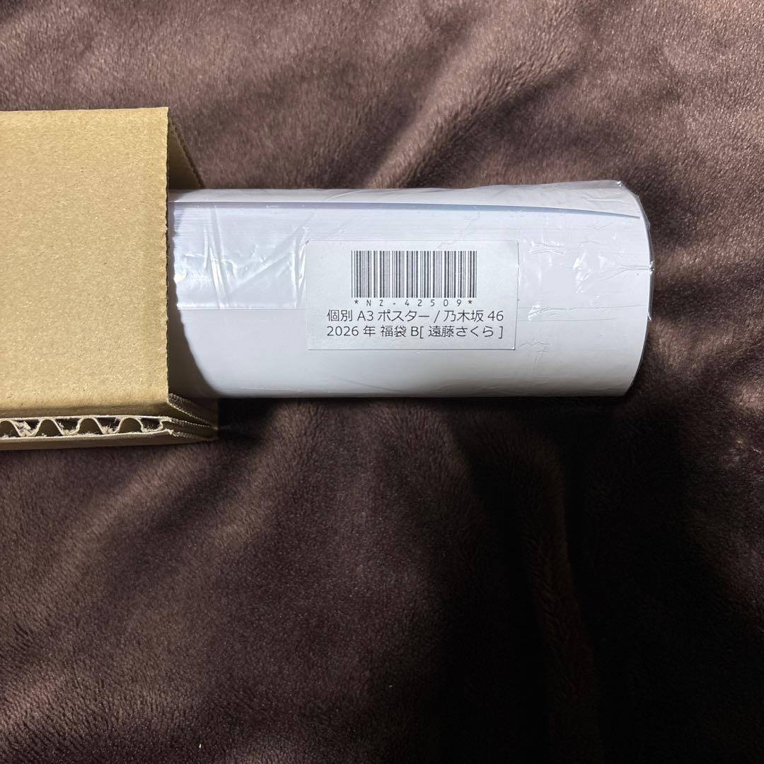 乃木坂福袋B 2026[個別クッション・ブランケット・個別A3ポスター