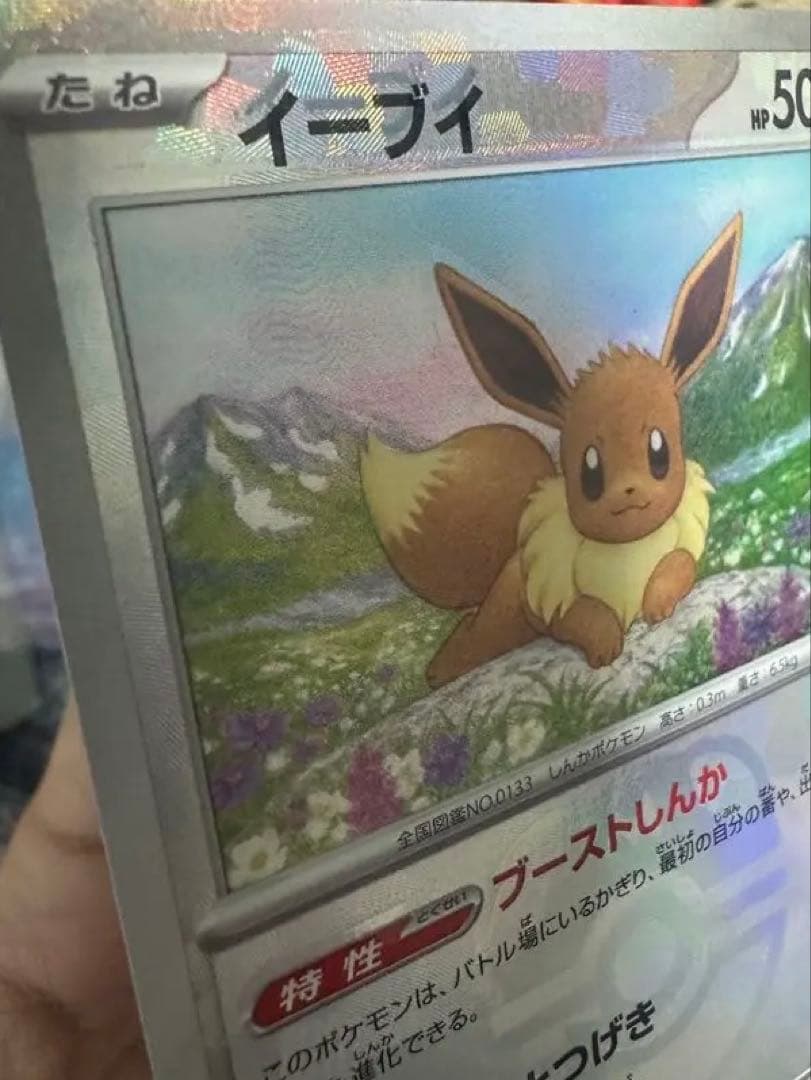 イーブイ ブラッキー マスボミラー 魂抜けエラー セット