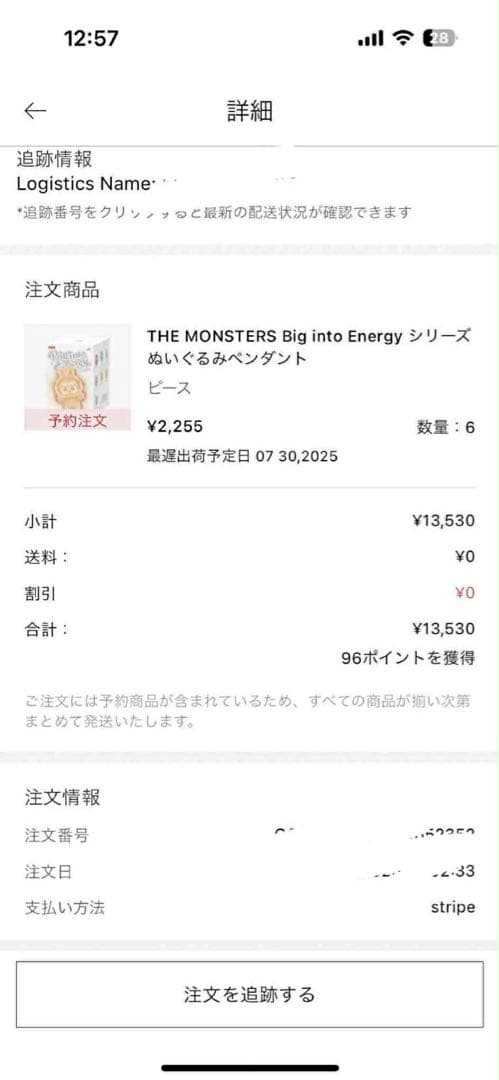 THE MONSTERS Big into Energy ぬいぐるみ10セット