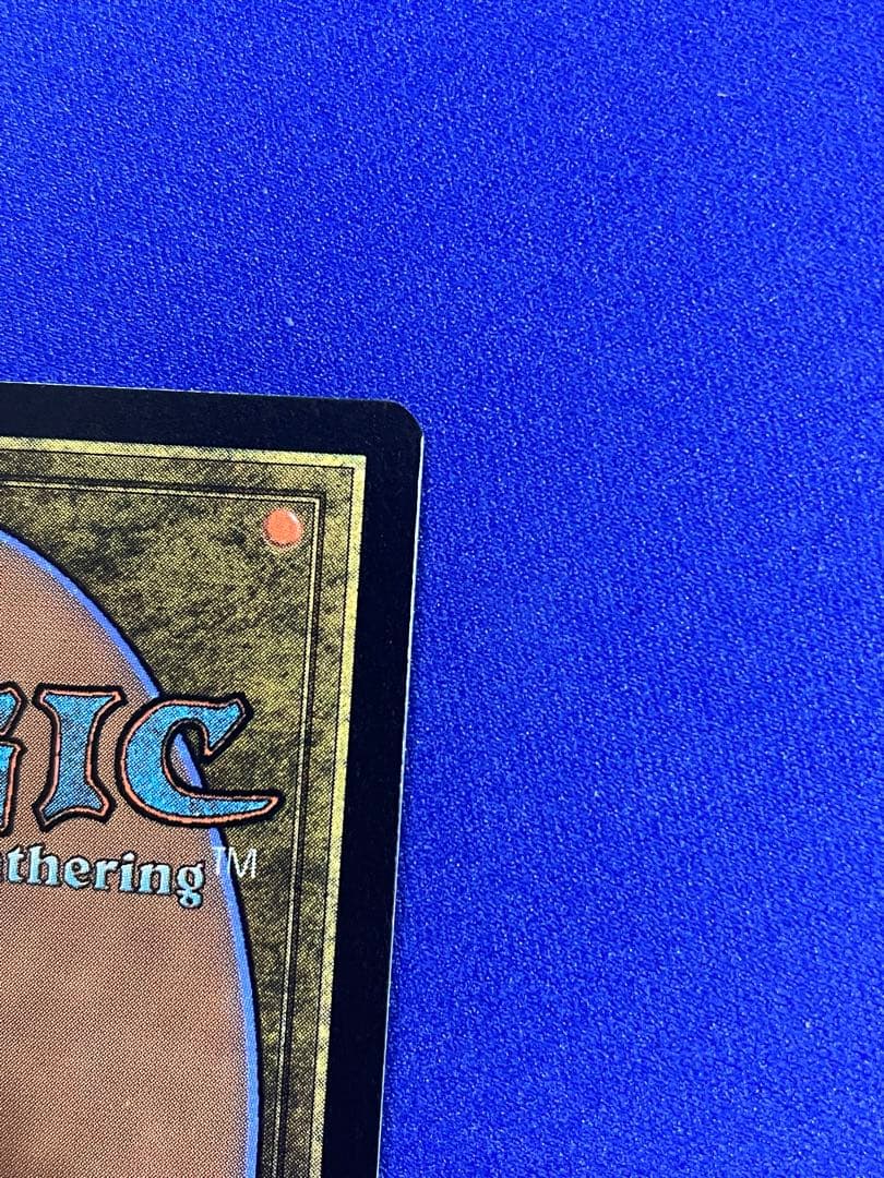 MTG/FF/拡張foil/日本語　聖竜フレースヴェルグ