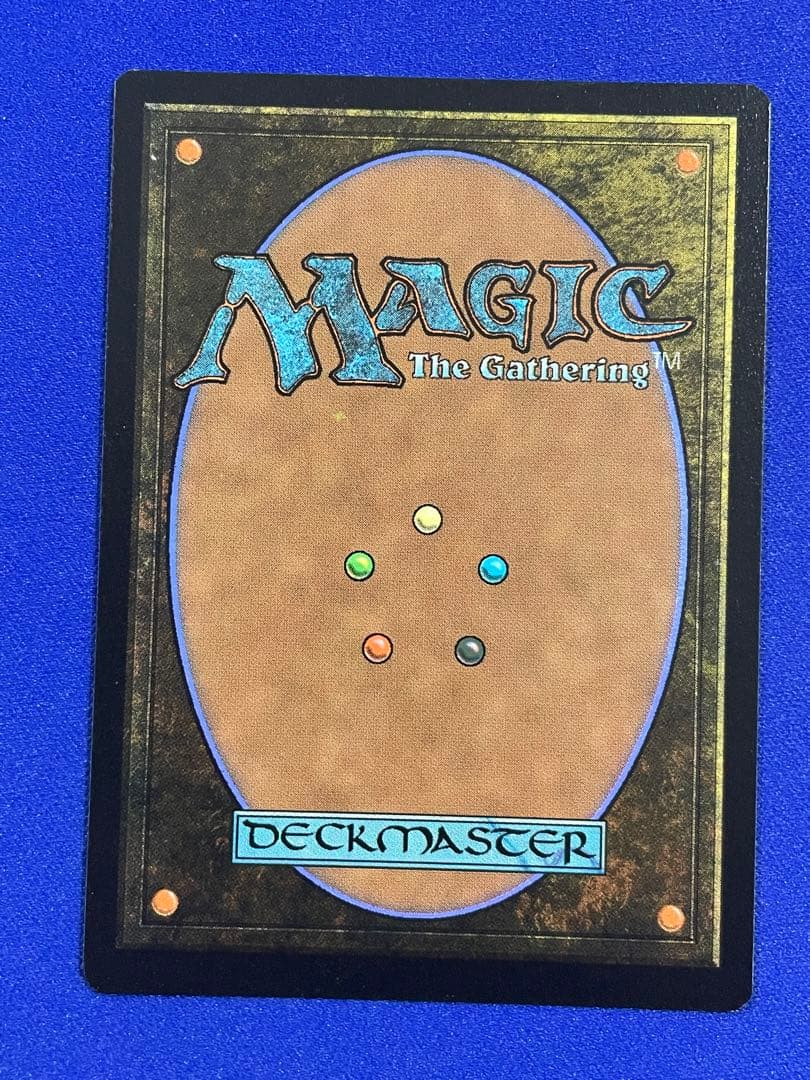 MTG/FF/拡張foil/日本語　聖竜フレースヴェルグ