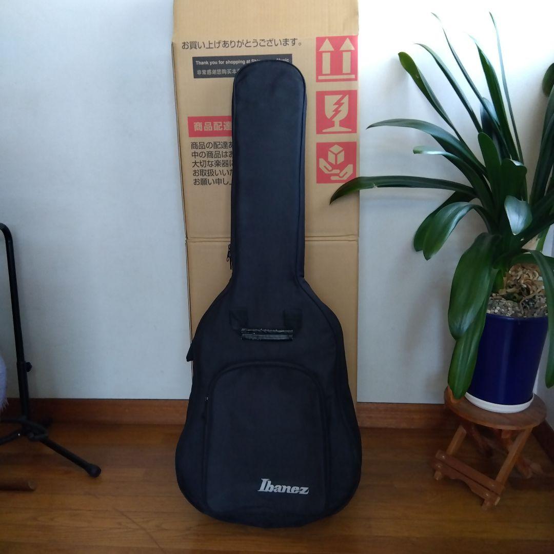 アイバニ―ズ　フルアコ　AK95―DBS―12―03　ソフトケ−ス付き