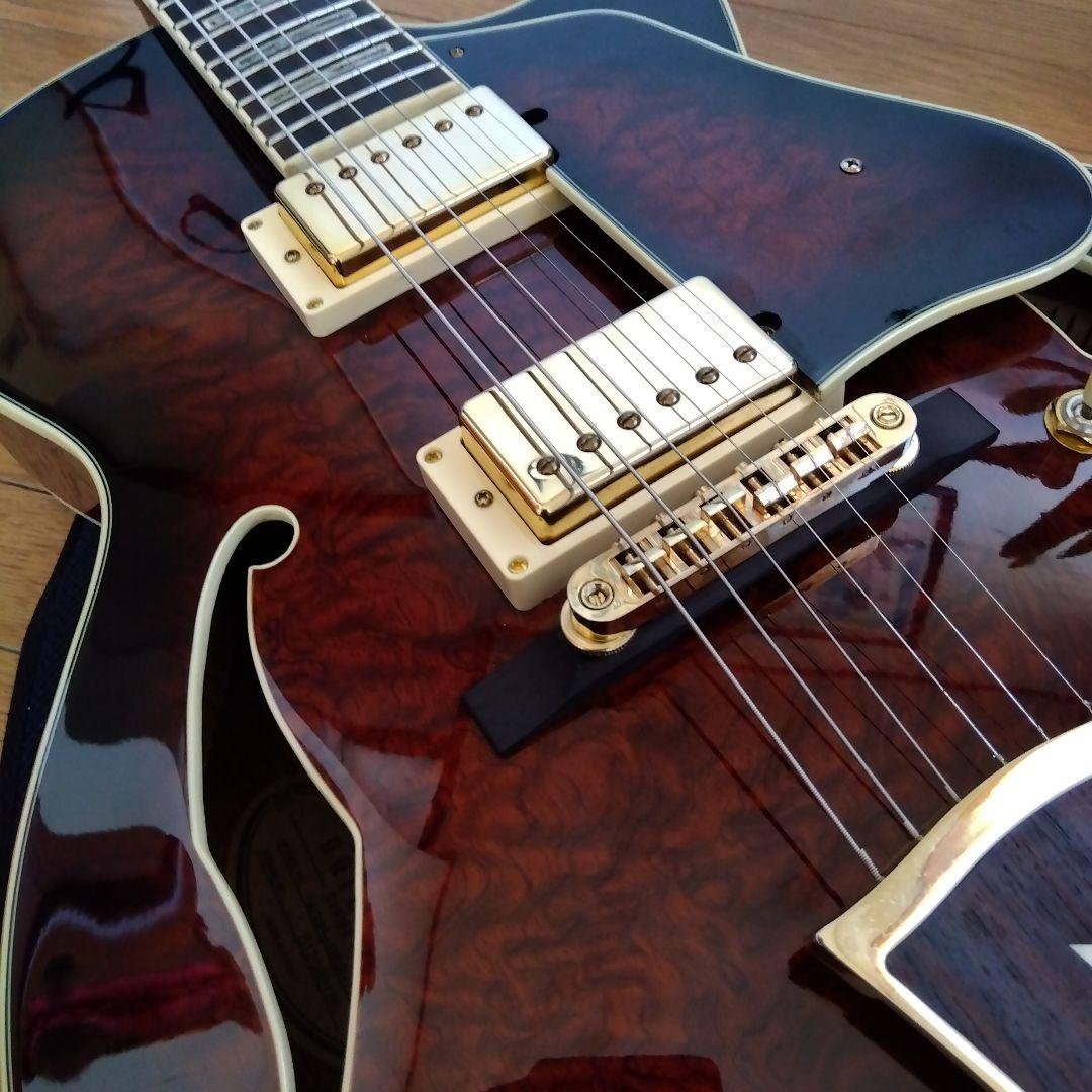 アイバニ―ズ　フルアコ　AK95―DBS―12―03　ソフトケ−ス付き