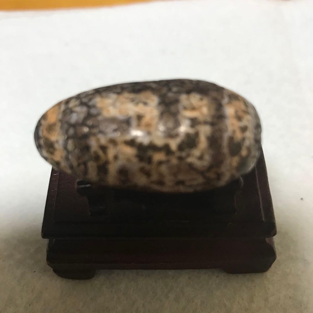 超激レア珍品‼︎ 古代老礦石 龍紋 たまご型卍一眼天珠 マニア向け