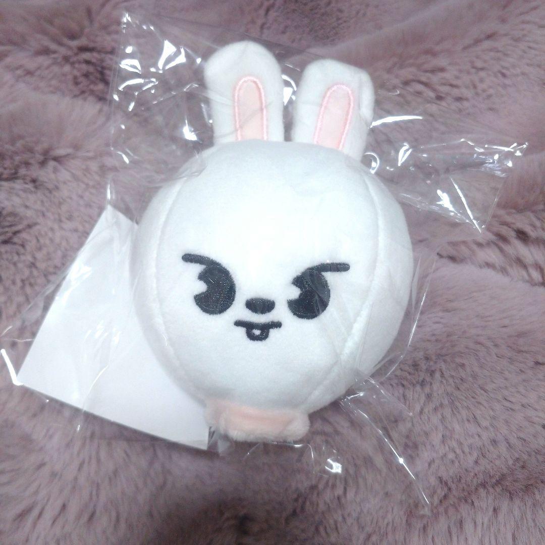 stray kids leebit リノ ぬいぐるみセット リービット スキズ - メルカリ