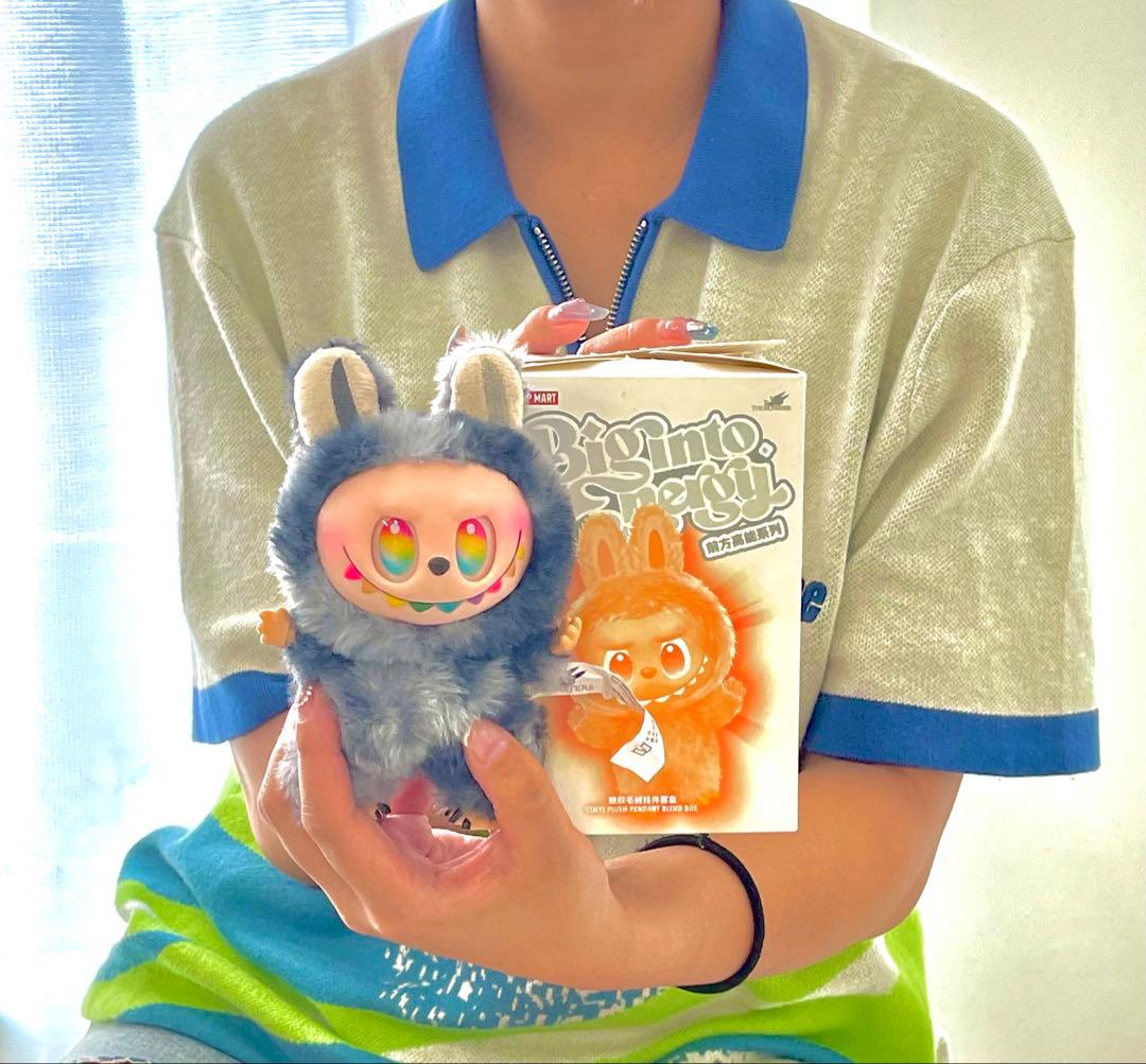 最終値下】大BOX専用箱で届く！ラブブ3代目 6体セットシークレット