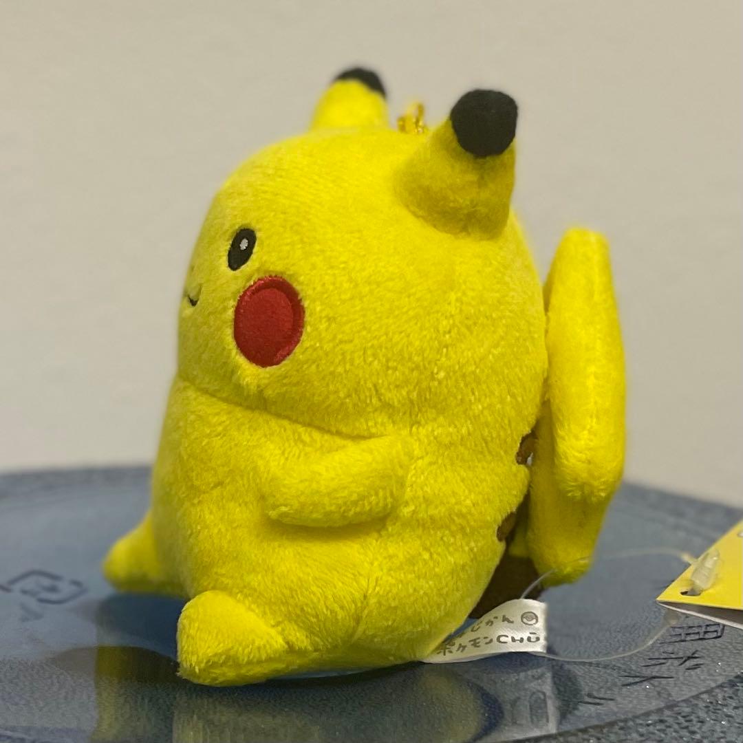 24じかんポケモンCHU ナガノ ピカチュウ マスコット - メルカリ