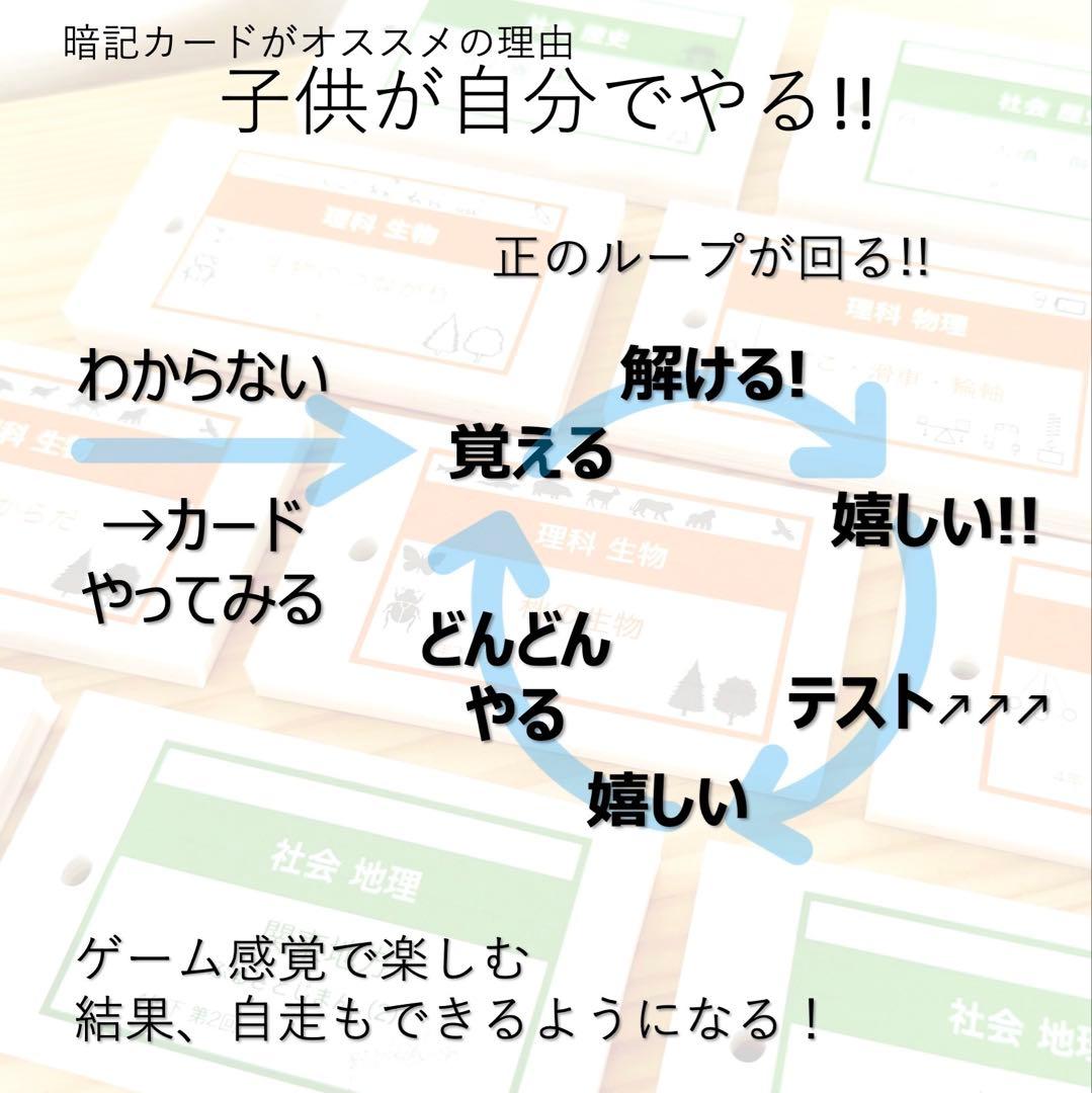 (avocado)【4年下 理社国11-14回　切断穴あけなし】