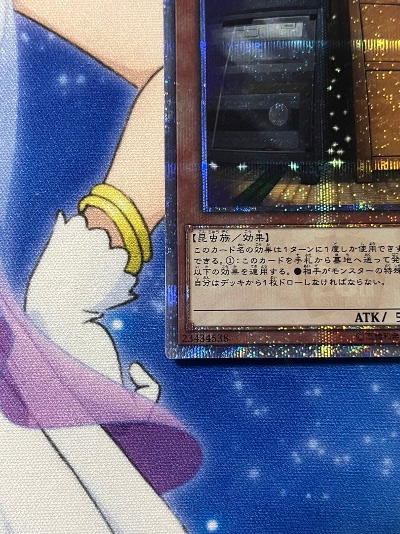 増殖するG 屋敷わらし　20thシク