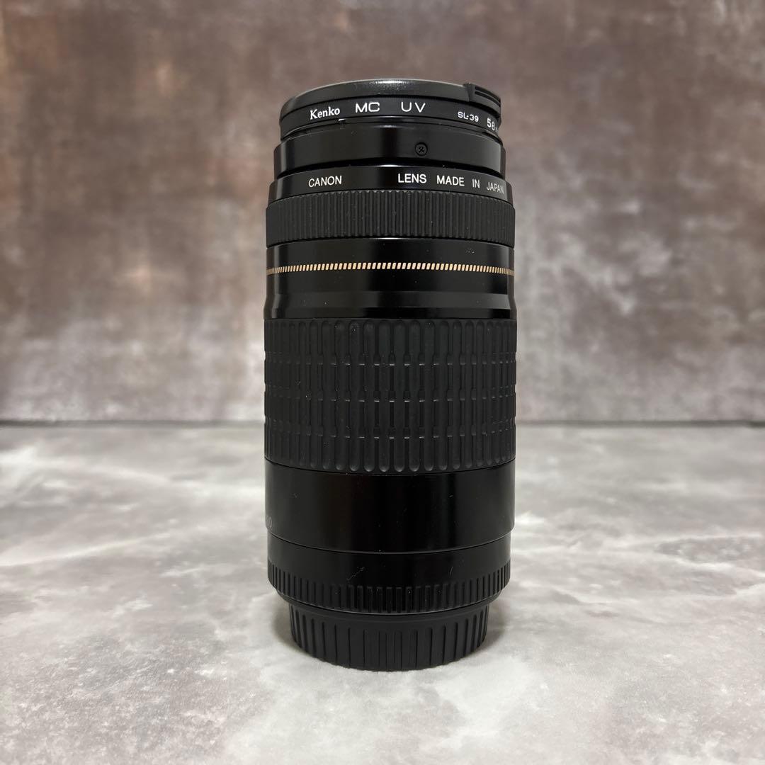 【美品・完動品】Canon EF 75-300mm f/4-5.6 USM