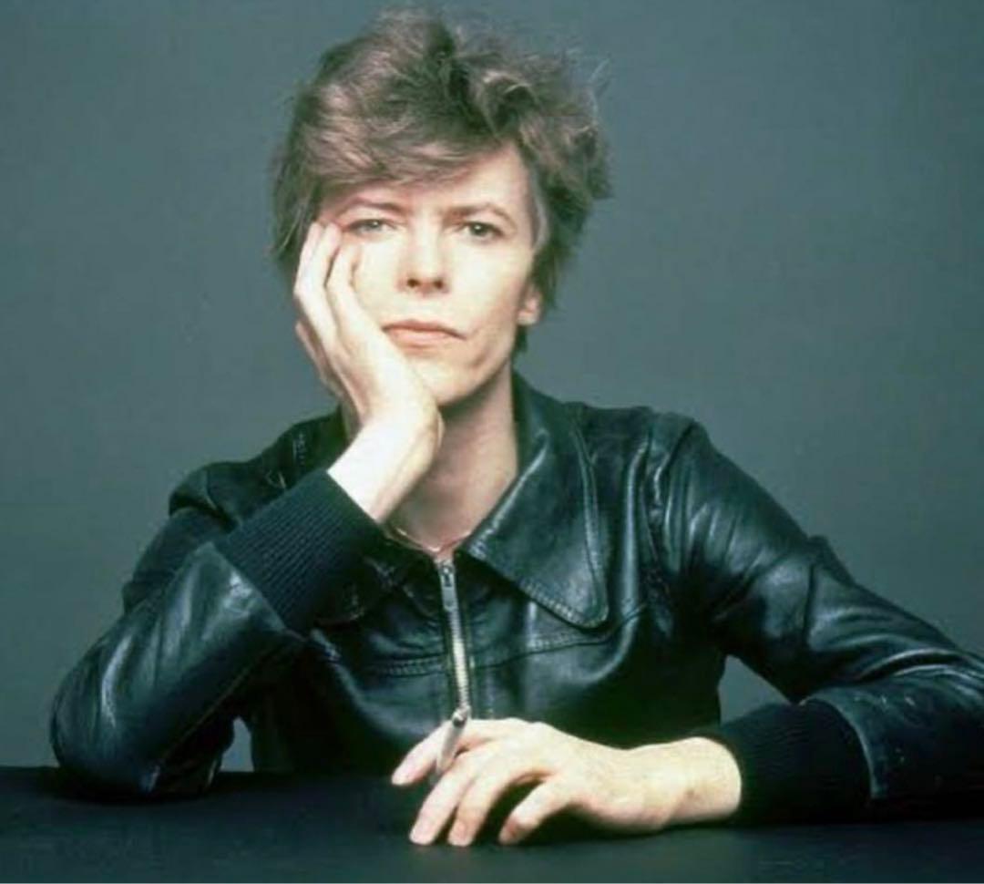 70s80sUK 英国製リブレザーリブジャンエディスリマンディオールオム