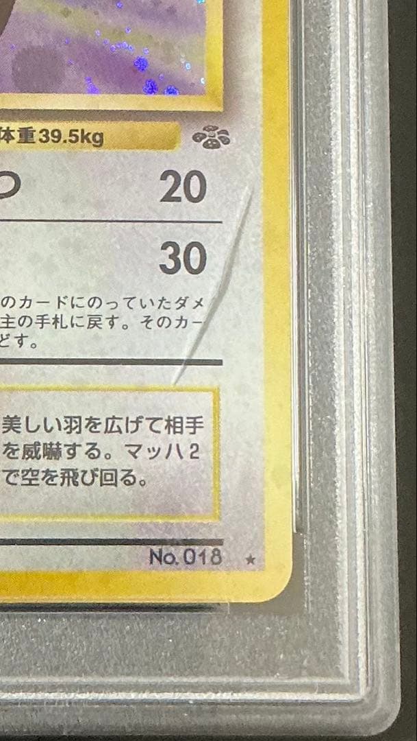※ケース傷あり PSA10 ピジョット 旧裏 ジャングル #18 ポケモンカード