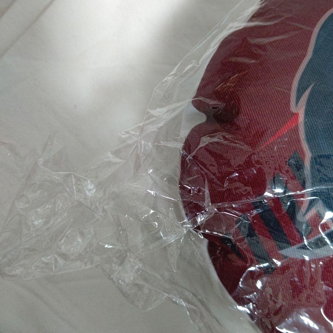 長谷川慎　クッション　bot