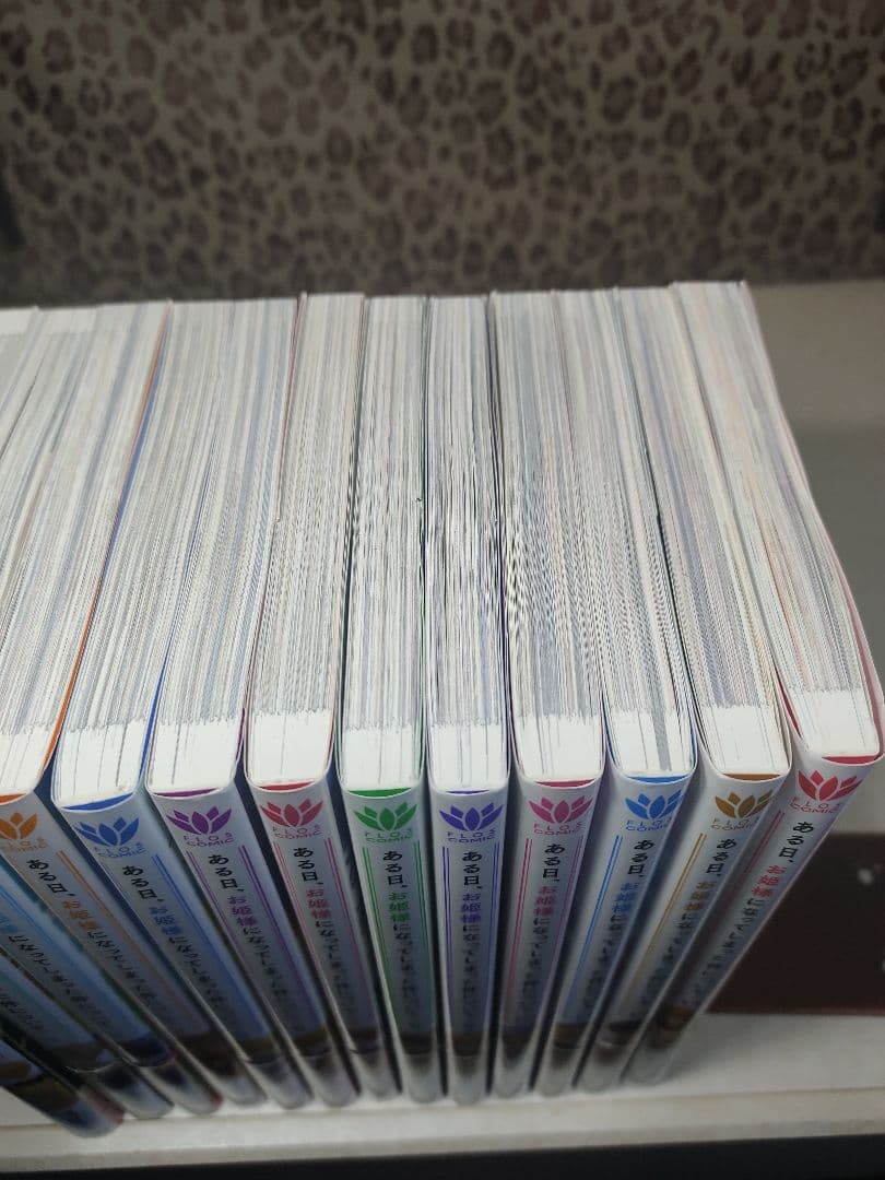 ある日、お姫様になってしまった件について 全13巻セット