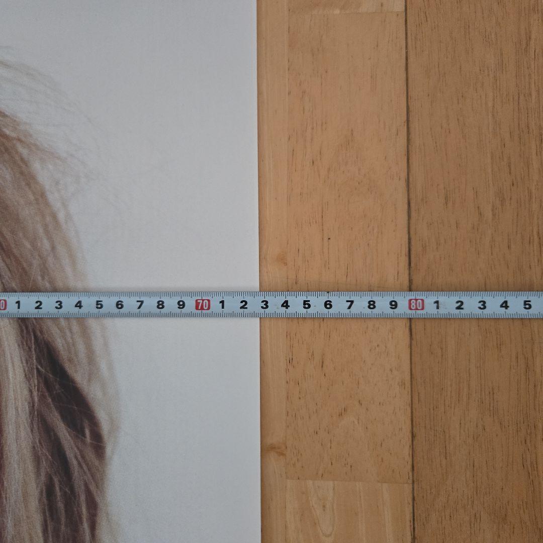 TOMOさま専用　Supreme Kate Moss 特大ポスター