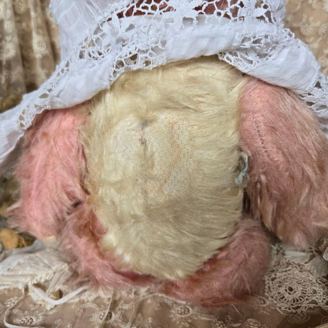 ペディグリー アンティークベア テディベア ピンク