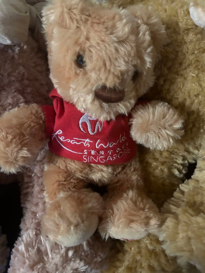 ダッフィーぬいぐるみ ディズニー 非売品 3点セット