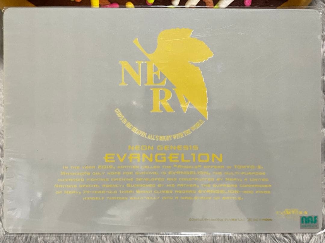 【貴重品】新世紀エヴァンゲリオン B5サイズ下敷き　10枚セット