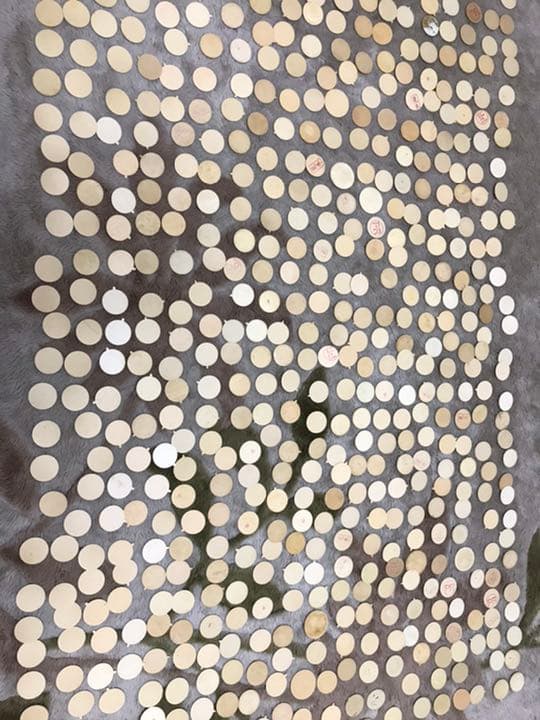 牛乳瓶ふた・キャップ・メンコ【激レア】546枚