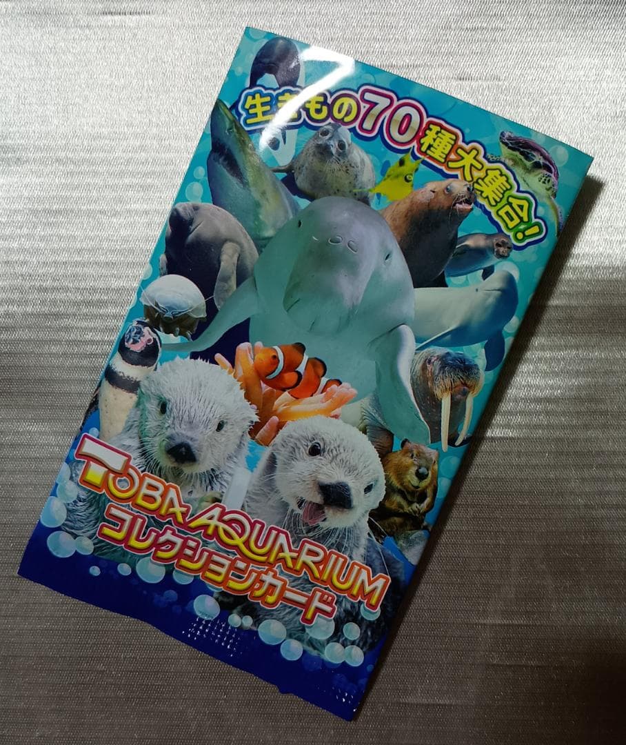 鳥羽水族館 コレクションカード ラッコ メイちゃん キラちゃん - メルカリ