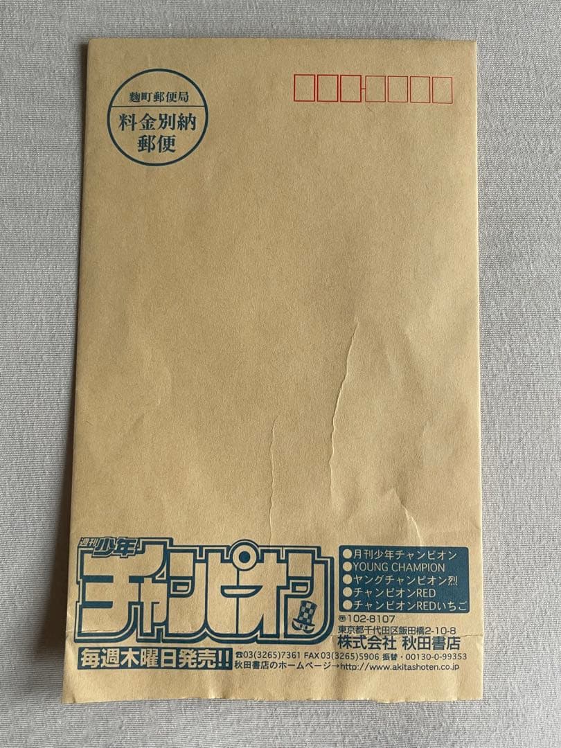 山本彩さん　直筆サイン入りチェキ　NMB48 AKB48 ボンテージ衣装
