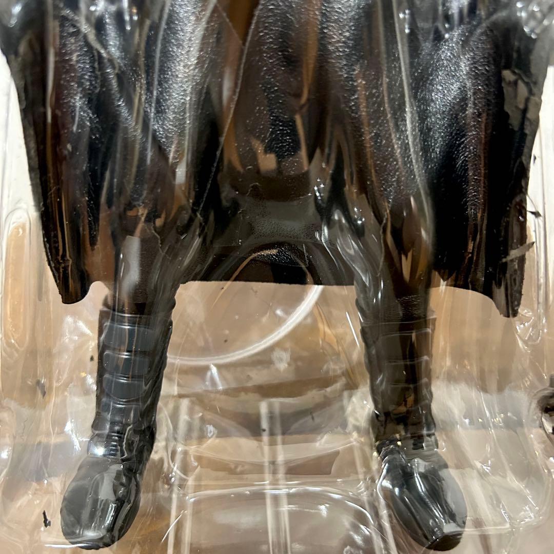 メディコムトイ RAH ライオン丸G シシトラ タイガージョー DVD付 特装