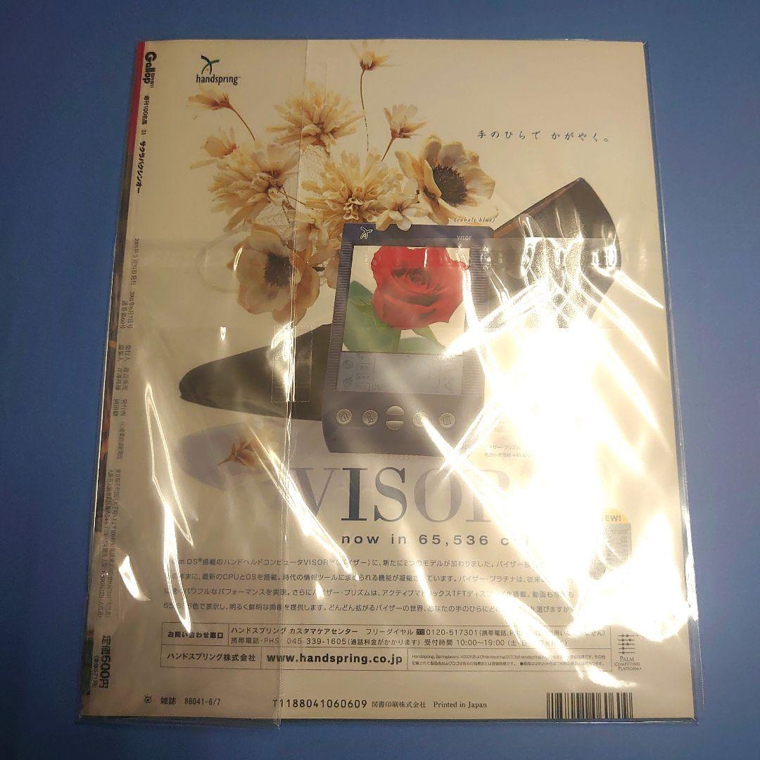 【稀少】サクラバクシンオー 競馬ぬいぐるみ ウマ娘アイドルホース 馬AVANTI