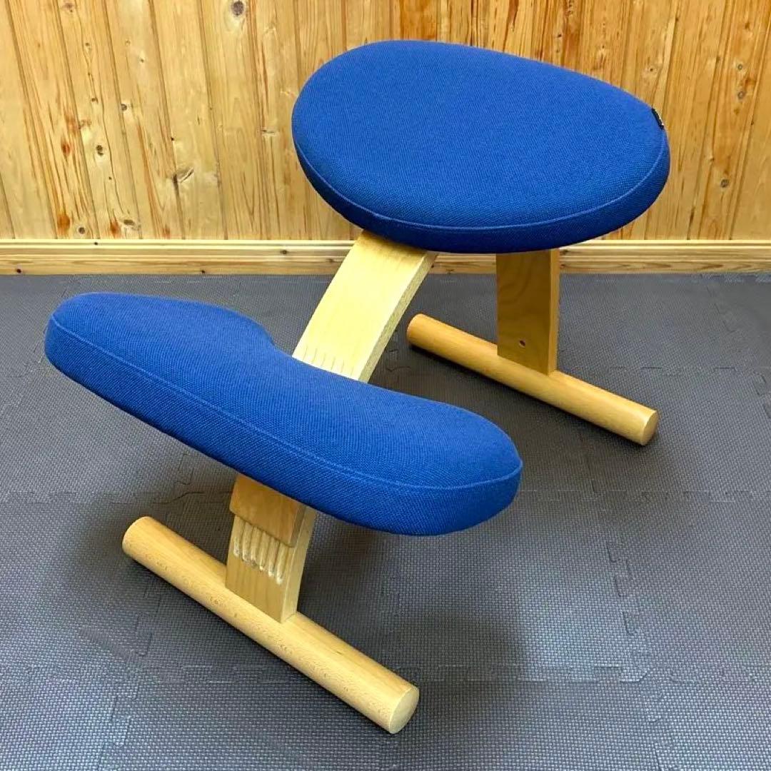 balans Easy バランスイージー サカモトハウス ネイビー