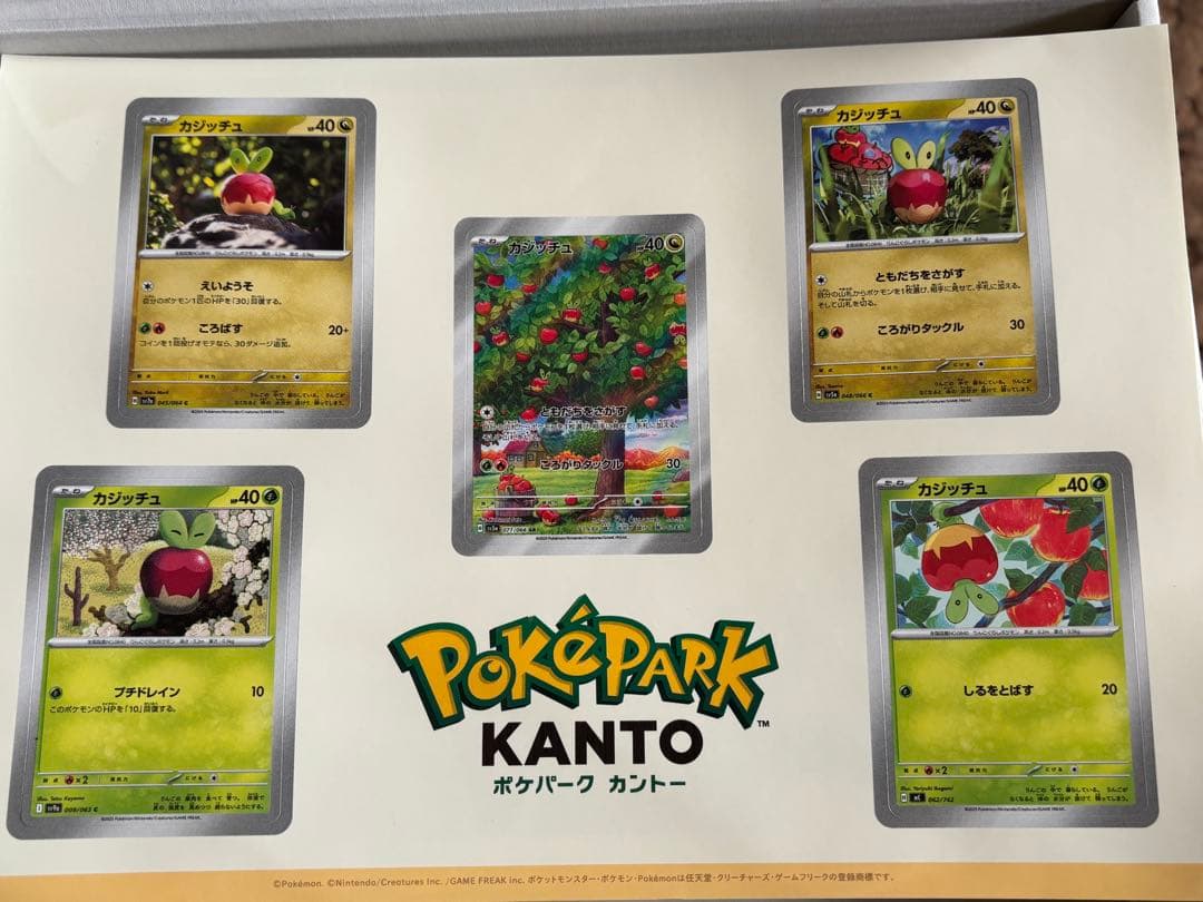 ポケパークカントーピンズ10個とプレミアムボール、シール、研究ノート、プァイル