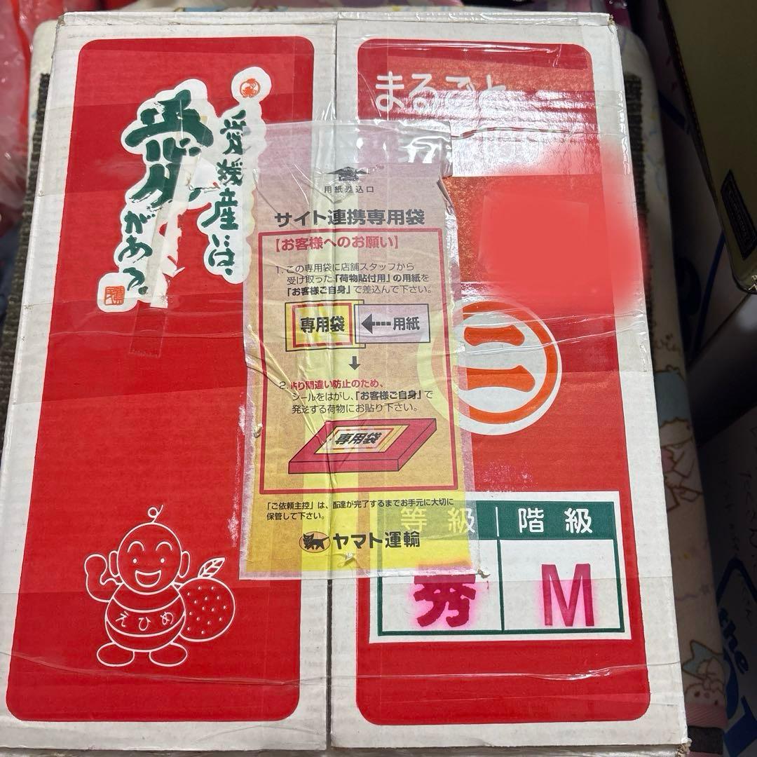 ケアベア　シェアベア　ジャンボ　ぬいぐるみ　むらさき　大きい