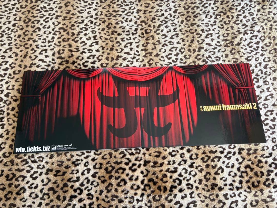 非売品❤︎浜崎あゆみ❤︎特大パンフレット・クリアケース付