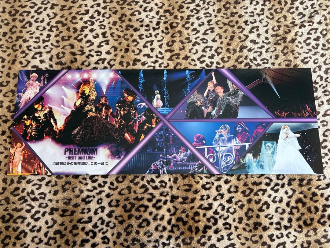 非売品❤︎浜崎あゆみ❤︎特大パンフレット・クリアケース付