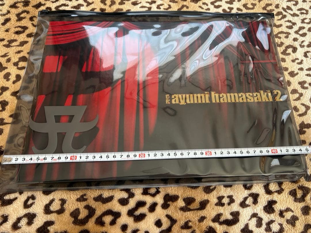 非売品❤︎浜崎あゆみ❤︎特大パンフレット・クリアケース付