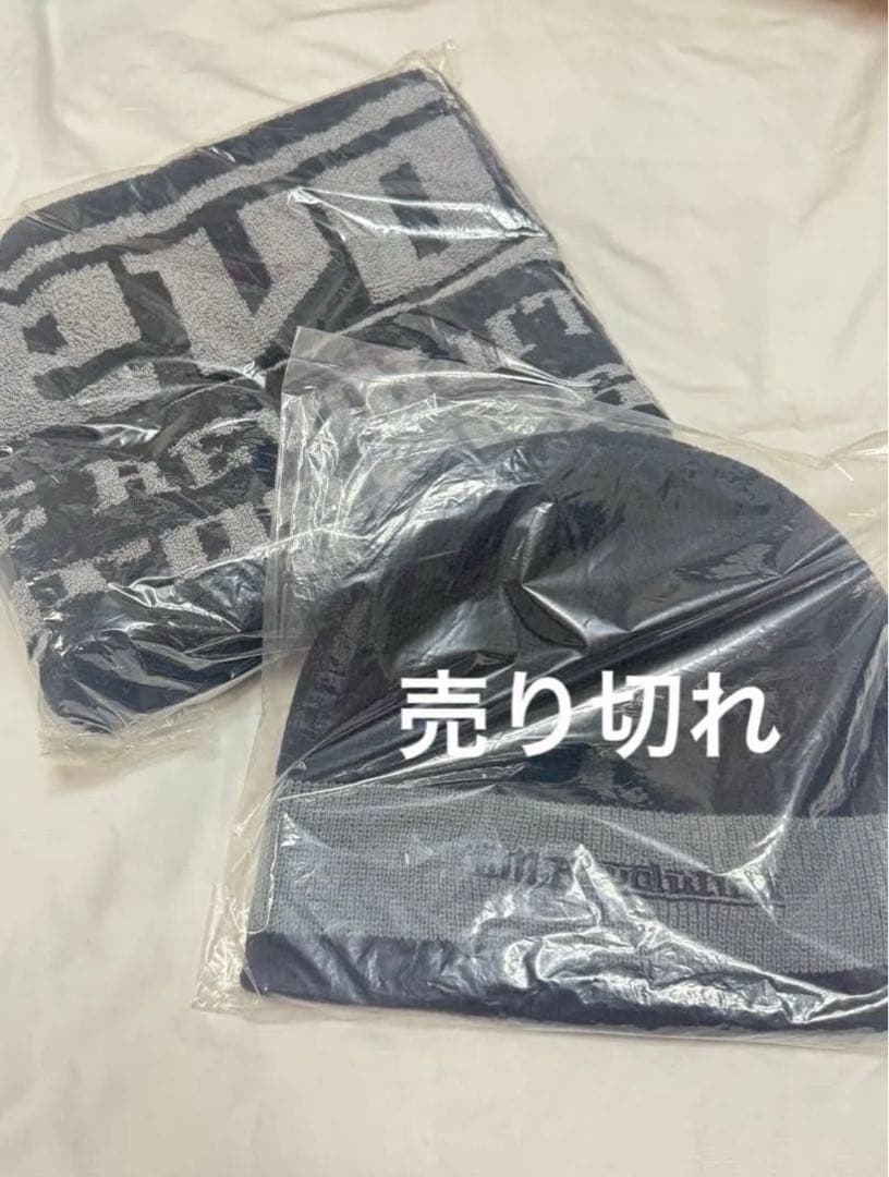 T.M.Revolution 西川貴教 ツアーグッズ レア 限定 プラモ