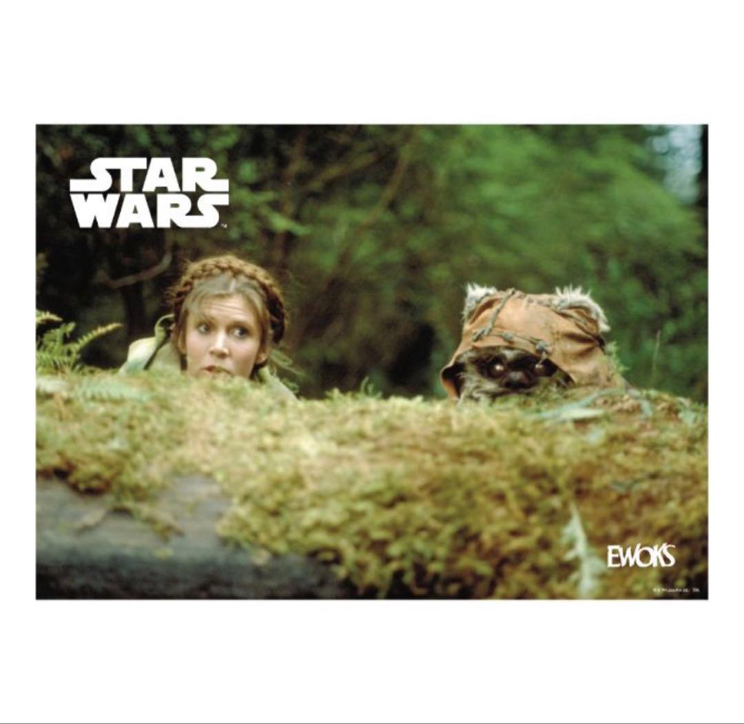 スターウォーズ イウォーク Happyくじ H賞 ポスター 3種類 - メルカリ