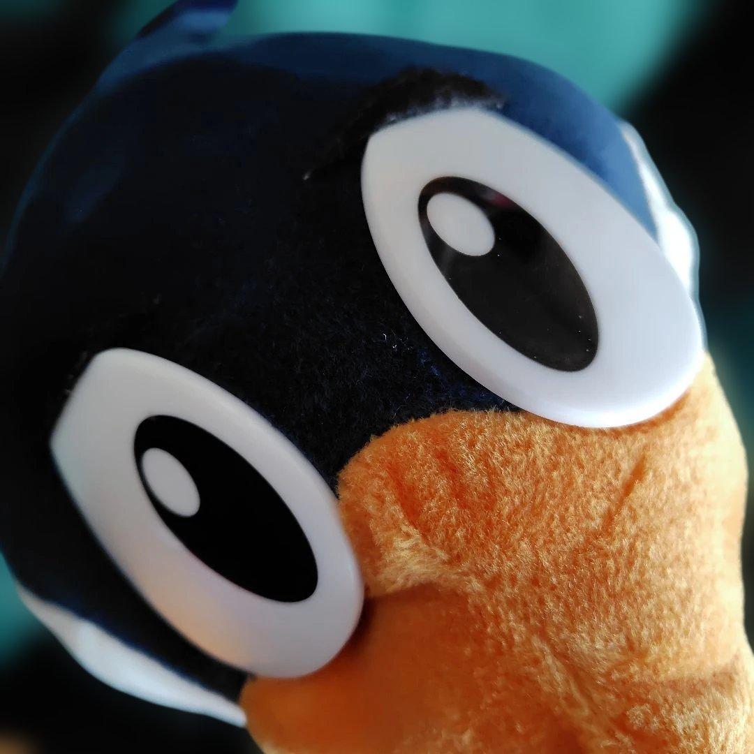 キョロちゃんフレンズ　ぬいぐるみ　レア