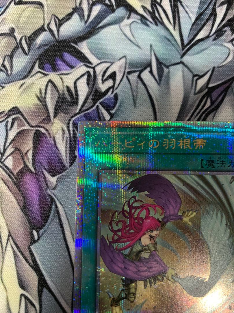 ハーピィの羽根箒　25th 絵違い