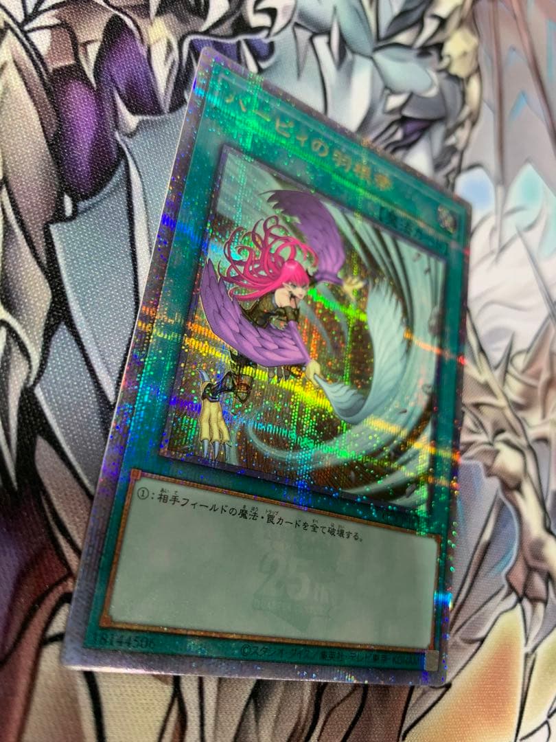 ハーピィの羽根箒　25th 絵違い