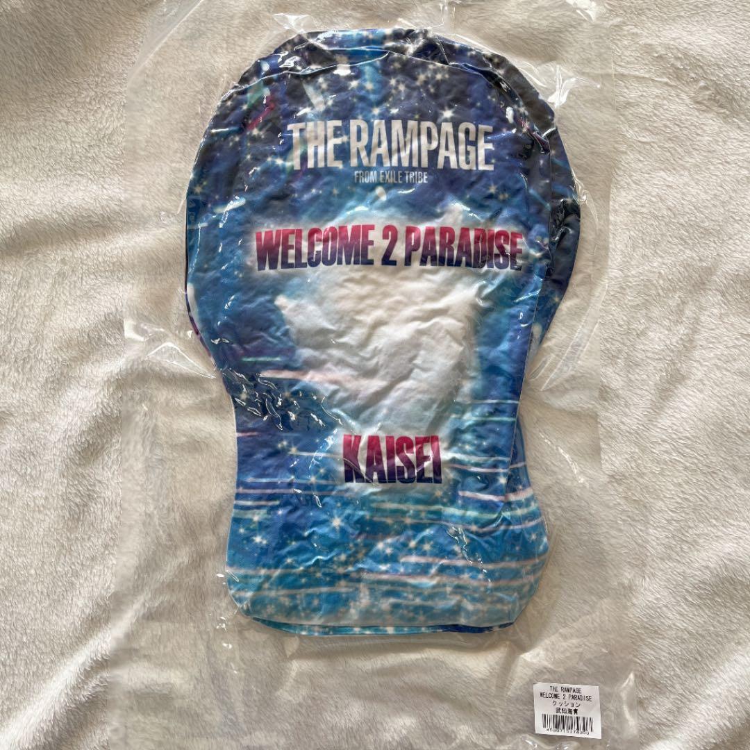 武知海青  WELCOME 2 PARADISE  クッション