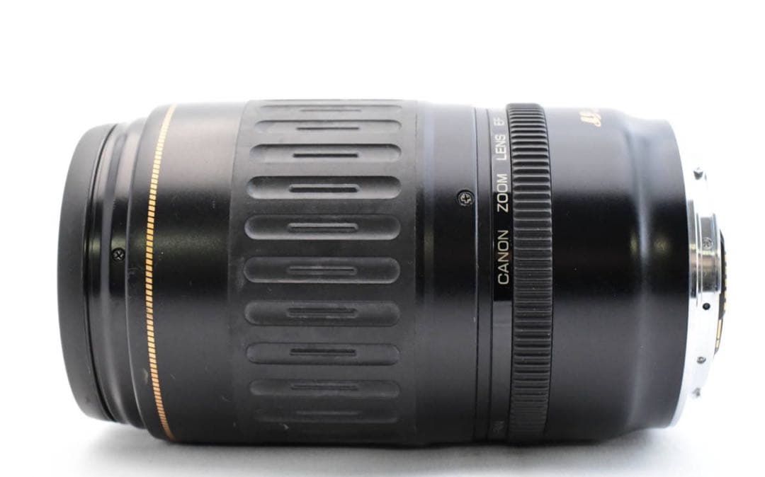イベント/スポーツ観戦/Canon EF100-300㎜F4.5-5.6 USM