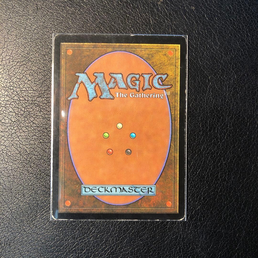 MTG セラの聖域 1枚 日本語