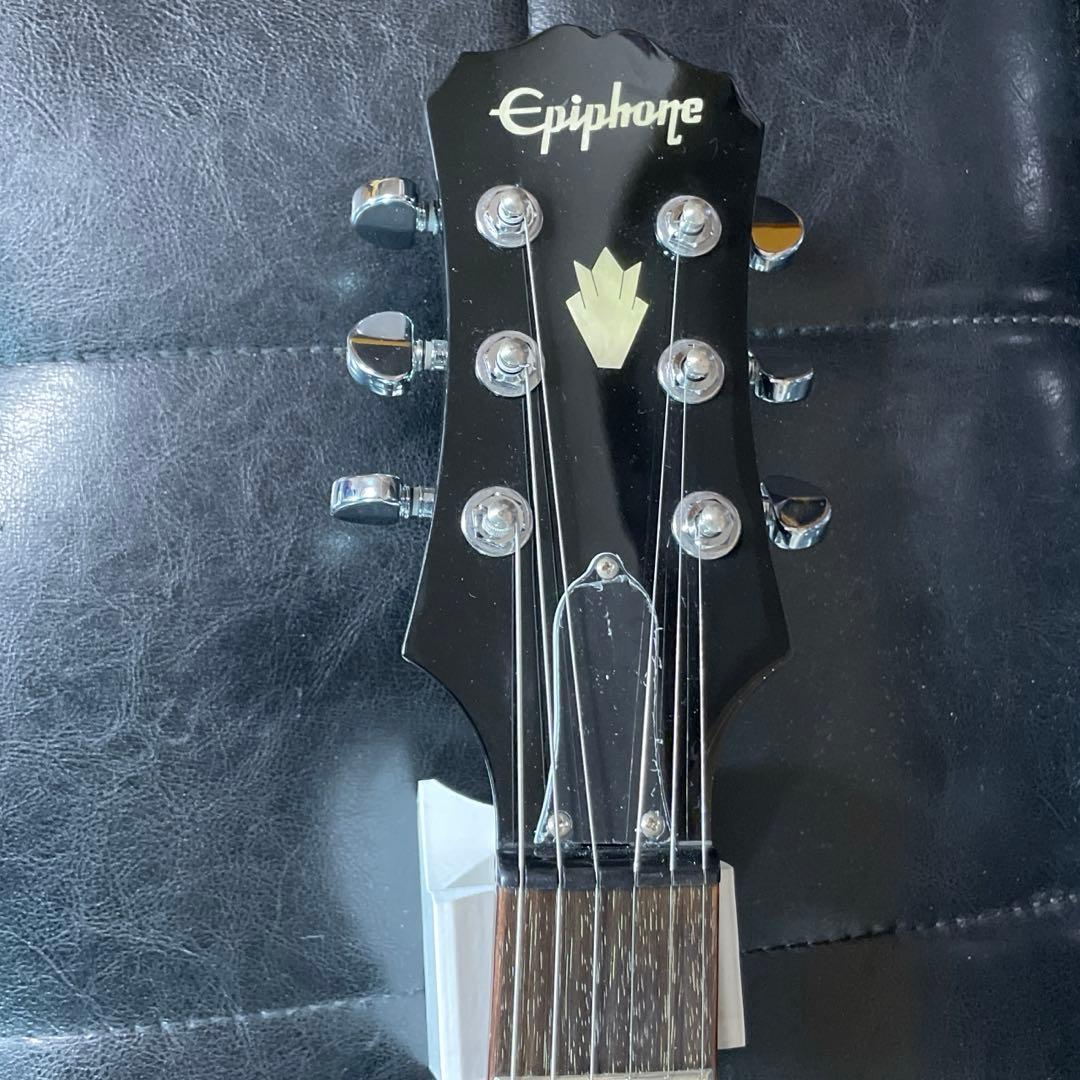 Epiphone SG 鼈甲 BLACK GROVER PEGグローバー