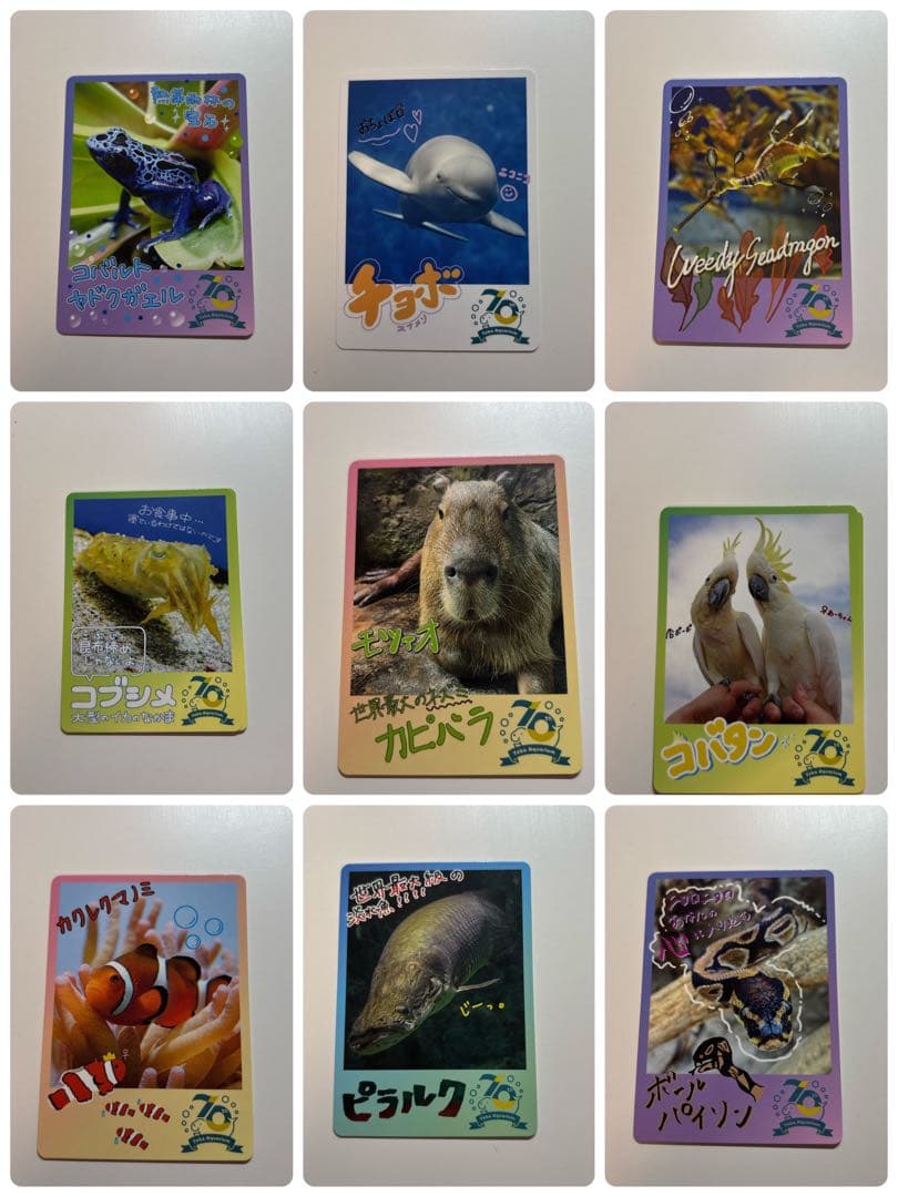 鳥羽水族館トレカ セット売り 一覧