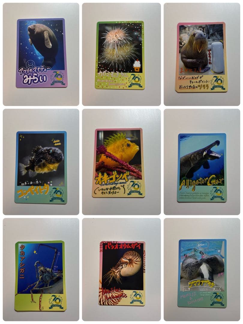 鳥羽水族館トレカ セット売り 一覧