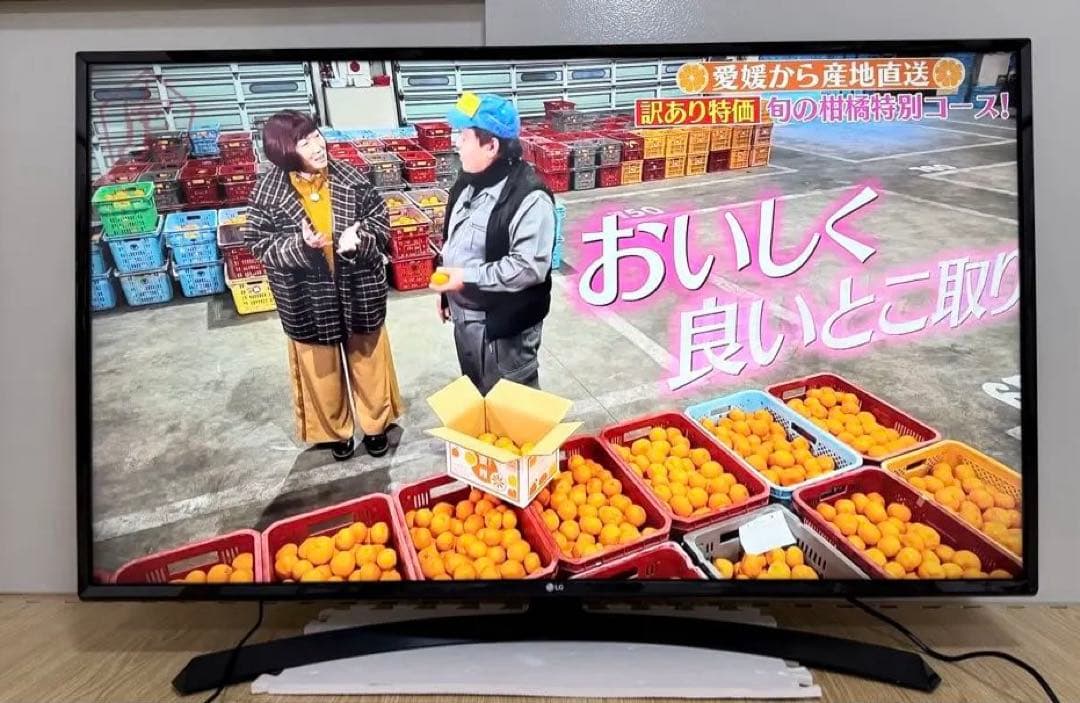 LG 49UJ630A 49インチ　2017年製⭕️4Kネット動画テレビ ピュアサラウンドやwebOS搭載、日常から4Kクオリティを楽しむ